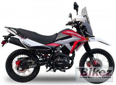 2024 Nipponia Zeus 200 specifications and pictures